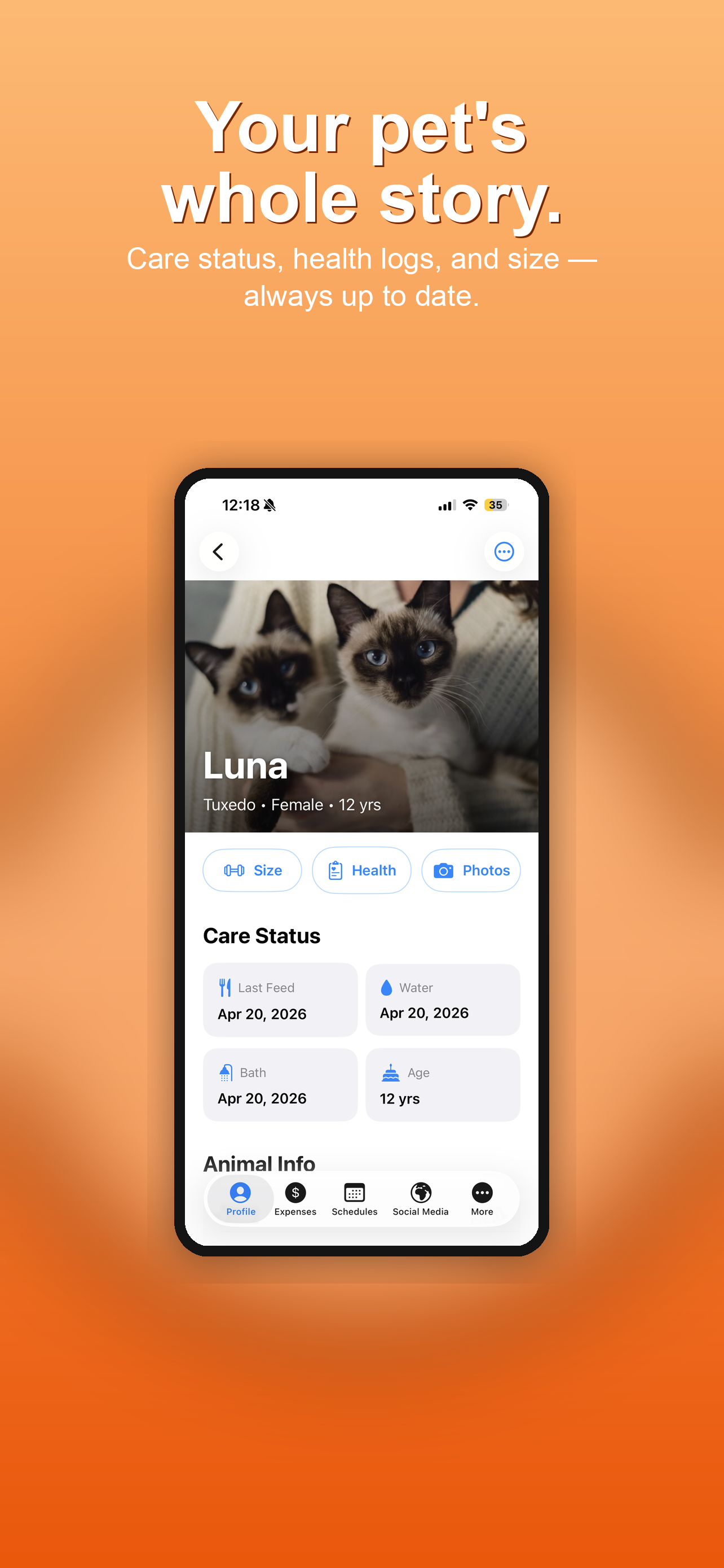 Care tracking and animal profiles
