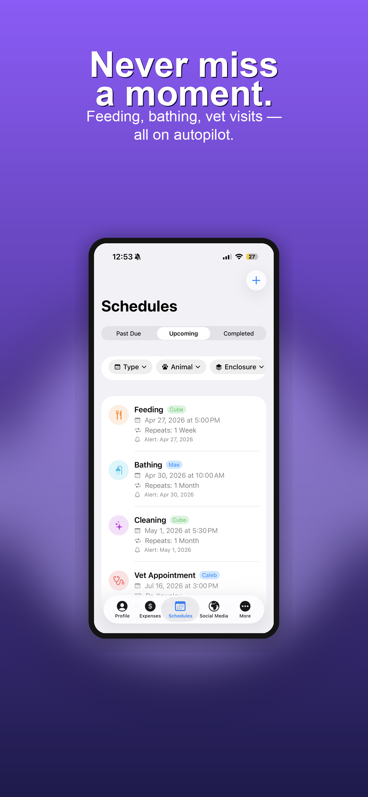 Schedules and reminders